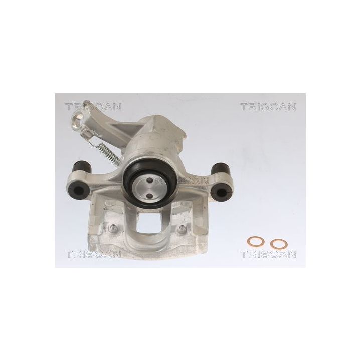 Stabdžių apkaba TRISCAN 8175 10206