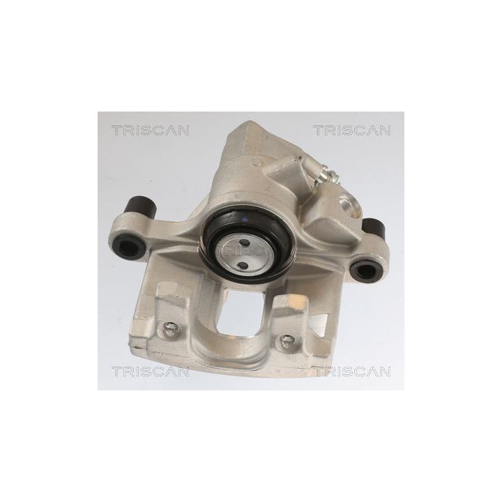 Stabdžių apkaba TRISCAN 8175 10211