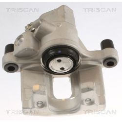 Stabdžių apkaba TRISCAN 8175 10212