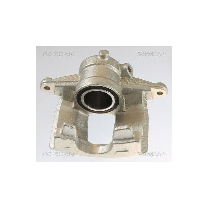 Stabdžių apkaba TRISCAN 8175 10222