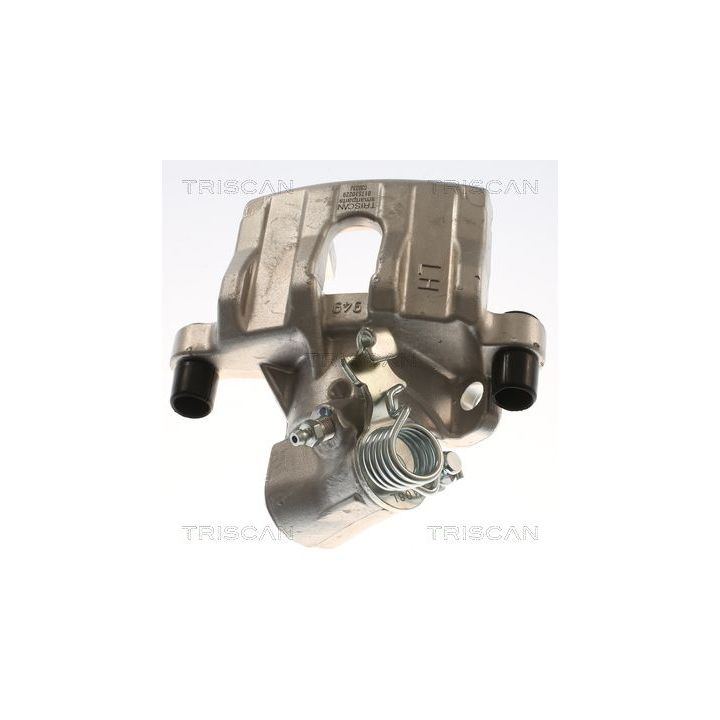 Stabdžių apkaba TRISCAN 8175 10229