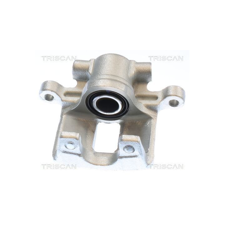 Stabdžių apkaba TRISCAN 8175 10245