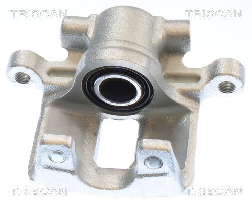 Stabdžių apkaba TRISCAN 8175 10245