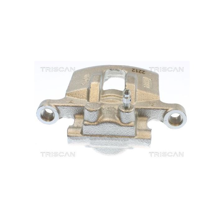 Stabdžių apkaba TRISCAN 8175 10245
