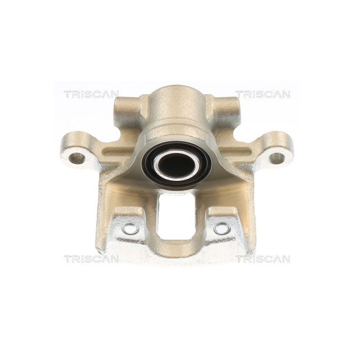 Stabdžių apkaba TRISCAN 8175 10246