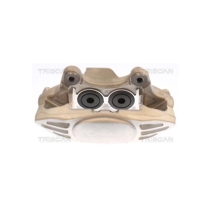 Stabdžių apkaba TRISCAN 8175 11113