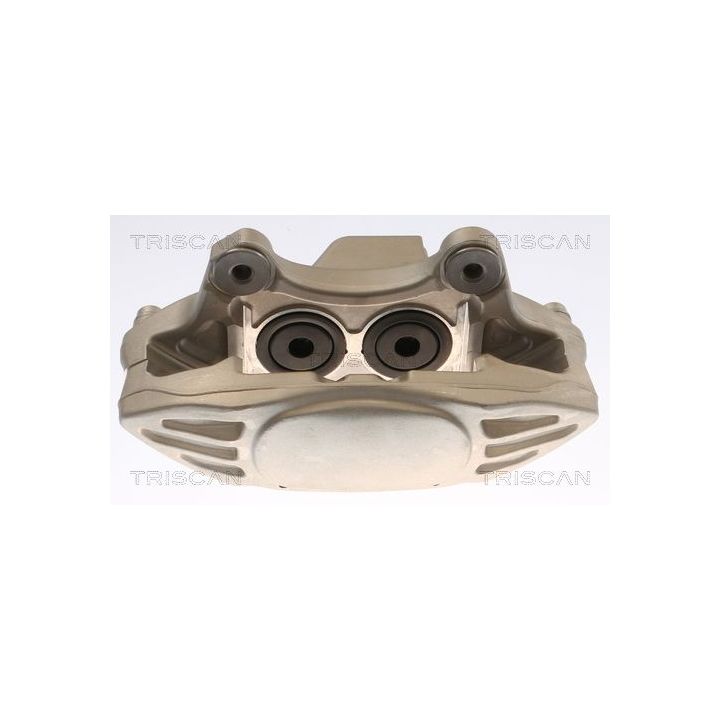 Stabdžių apkaba TRISCAN 8175 11114