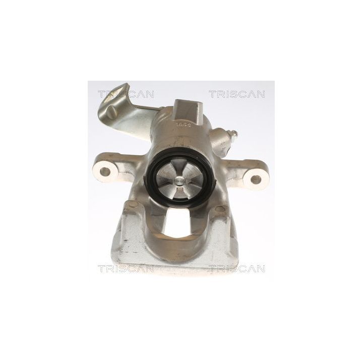 Stabdžių apkaba TRISCAN 8175 11209