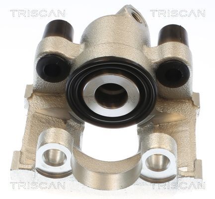 Stabdžių apkaba TRISCAN 8175 11216