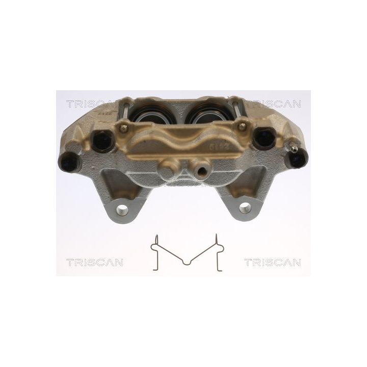 Stabdžių apkaba TRISCAN 8175 13121