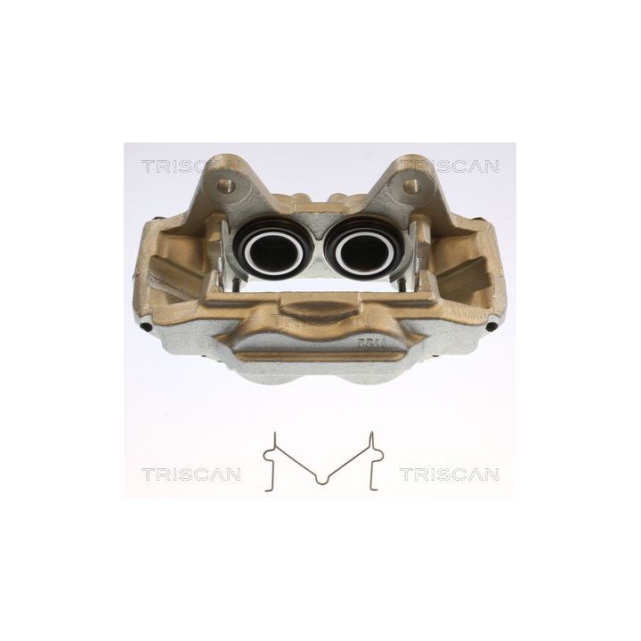 Stabdžių apkaba TRISCAN 8175 13122