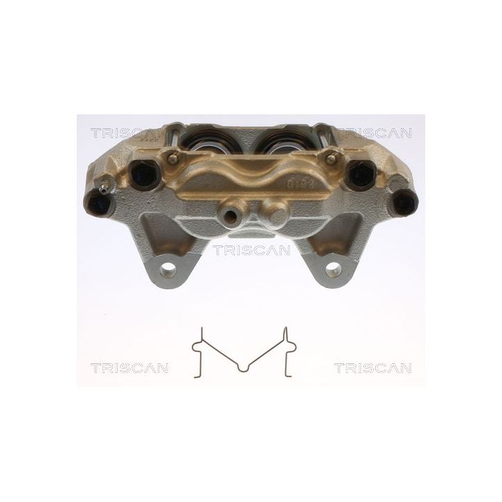 Stabdžių apkaba TRISCAN 8175 13122