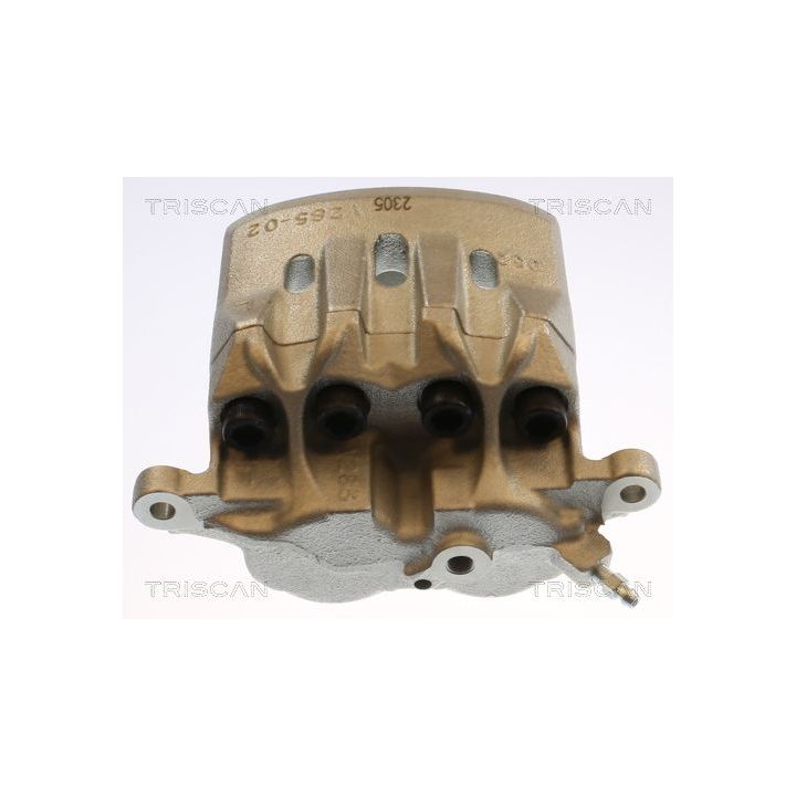 Stabdžių apkaba TRISCAN 8175 13123