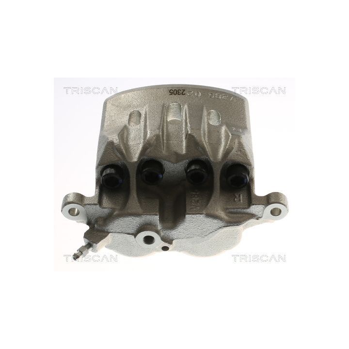 Stabdžių apkaba TRISCAN 8175 13124