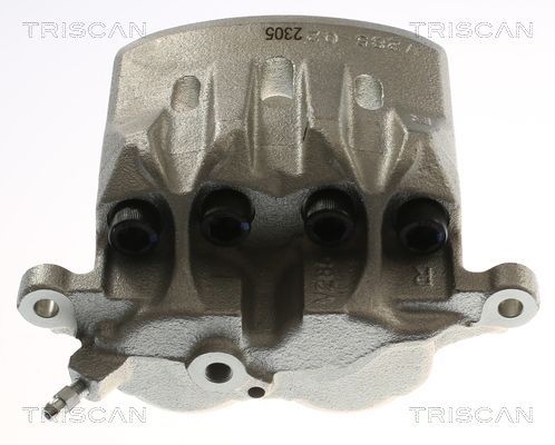 Stabdžių apkaba TRISCAN 8175 13124