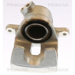 Stabdžių apkaba TRISCAN 8175 13125