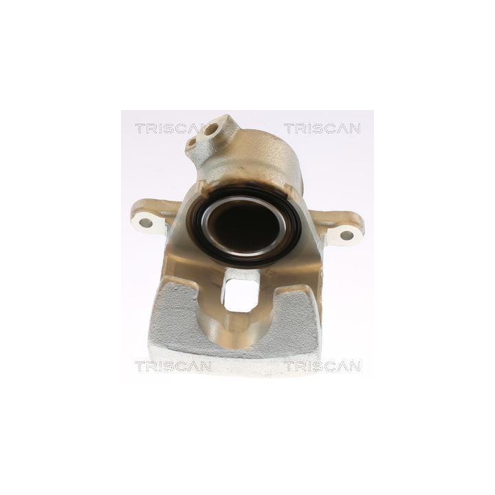 Stabdžių apkaba TRISCAN 8175 13125