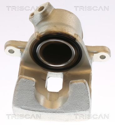 Stabdžių apkaba TRISCAN 8175 13125