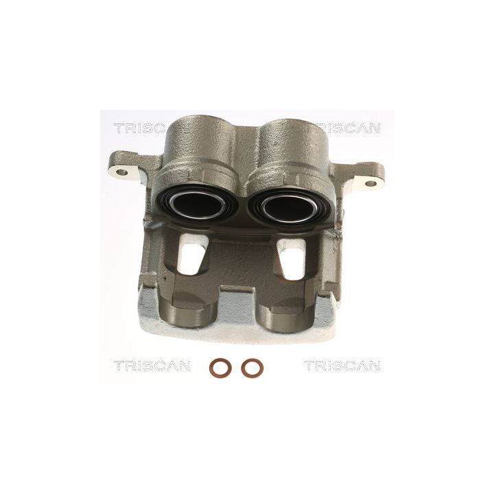 Stabdžių apkaba TRISCAN 8175 13141