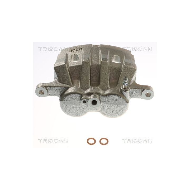 Stabdžių apkaba TRISCAN 8175 13142