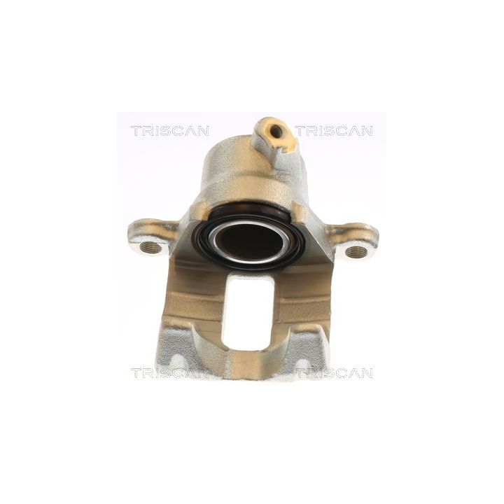 Stabdžių apkaba TRISCAN 8175 13225