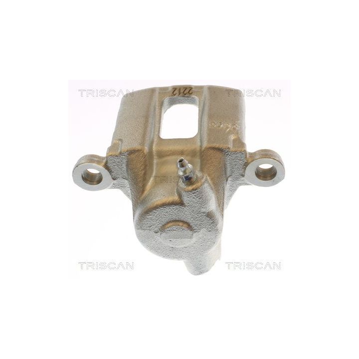 Stabdžių apkaba TRISCAN 8175 13225