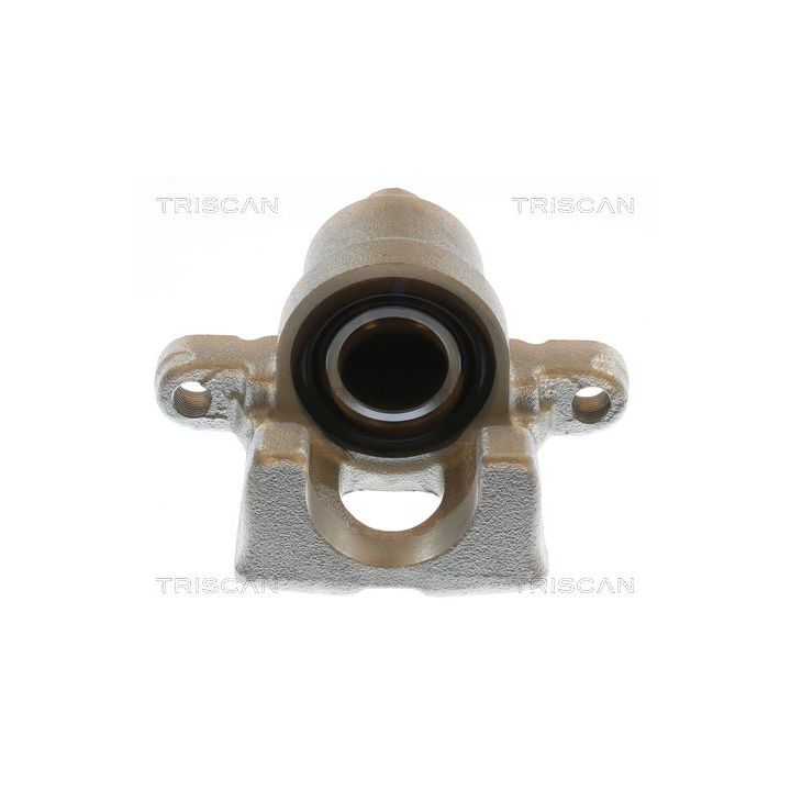 Stabdžių apkaba TRISCAN 8175 13227