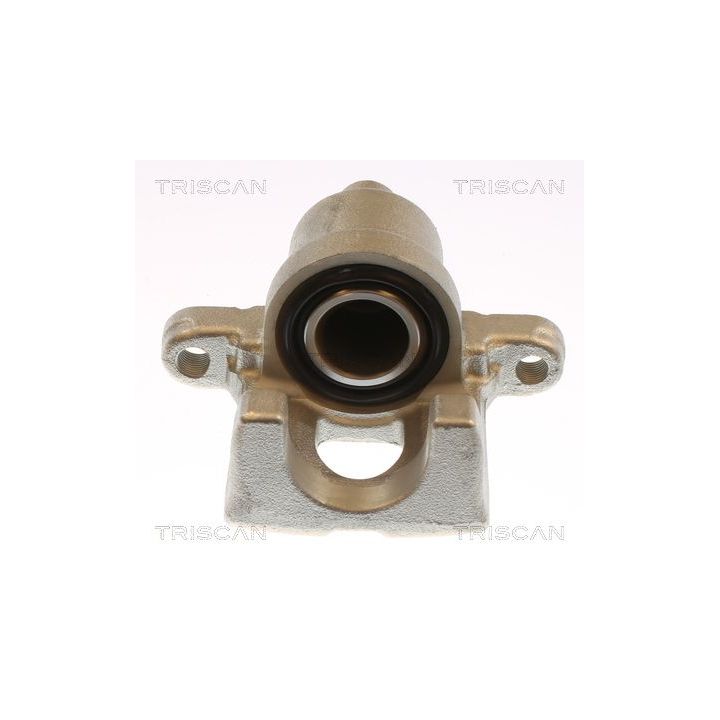 Stabdžių apkaba TRISCAN 8175 13228