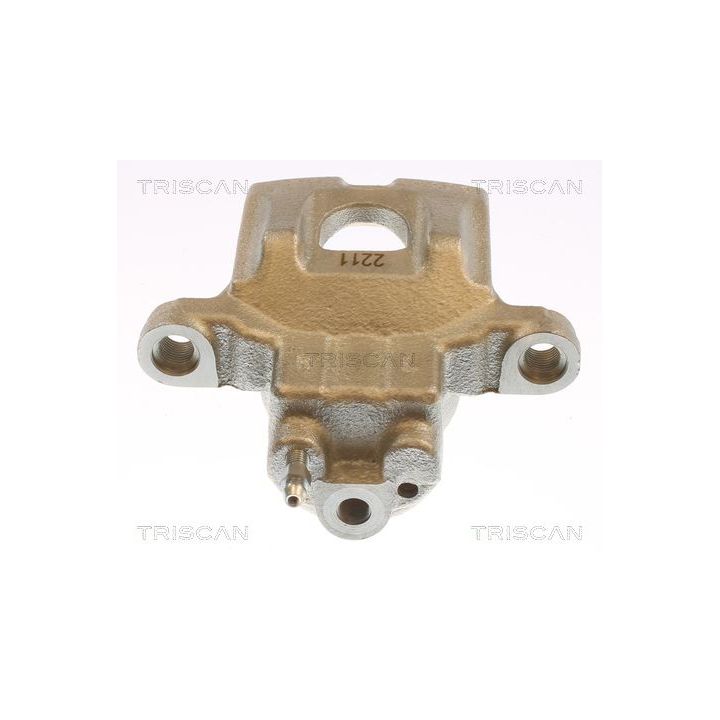 Stabdžių apkaba TRISCAN 8175 13228