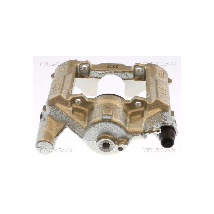 Stabdžių apkaba TRISCAN 8175 13245