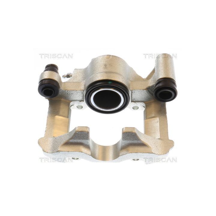 Stabdžių apkaba TRISCAN 8175 13246