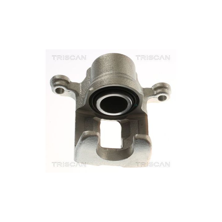 Stabdžių apkaba TRISCAN 8175 14223