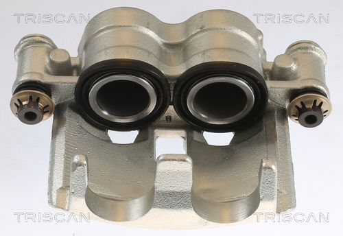 Stabdžių apkaba TRISCAN 8175 15103