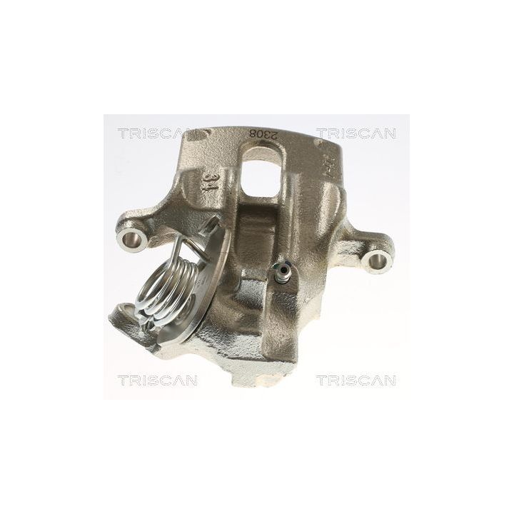 Stabdžių apkaba TRISCAN 8175 15209