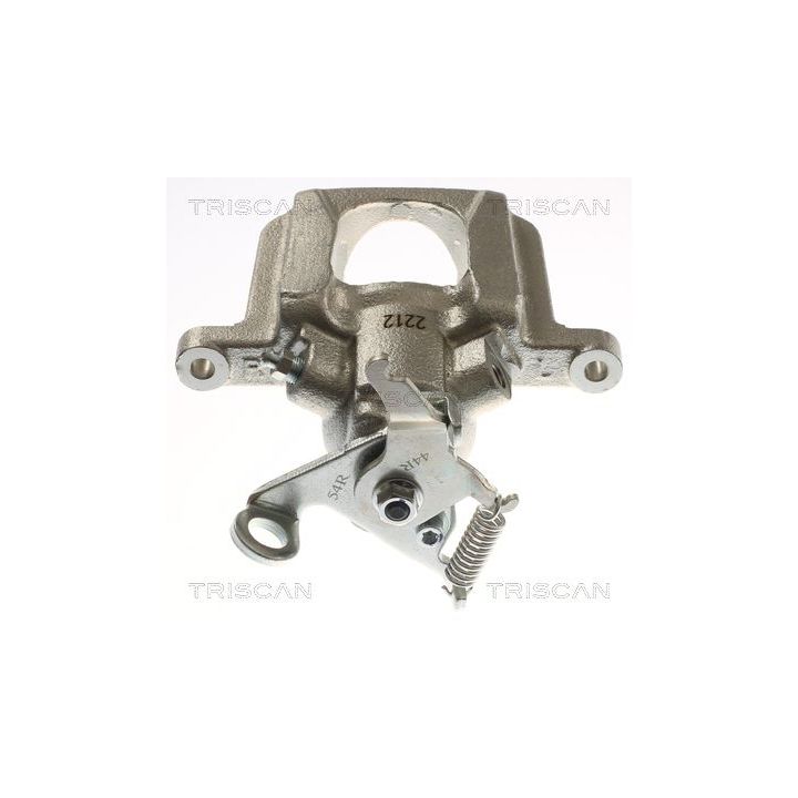 Stabdžių apkaba TRISCAN 8175 15226