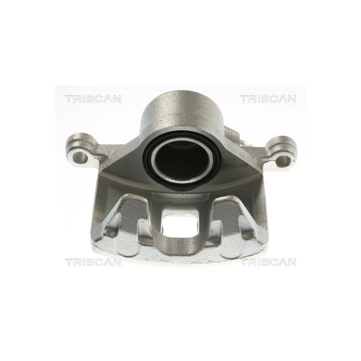 Stabdžių apkaba TRISCAN 8175 24109