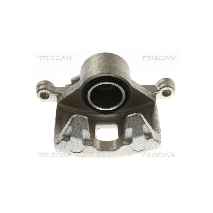 Stabdžių apkaba TRISCAN 8175 24110