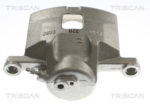 Stabdžių apkaba TRISCAN 8175 24110