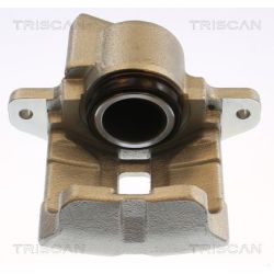 Stabdžių apkaba TRISCAN 8175 25101