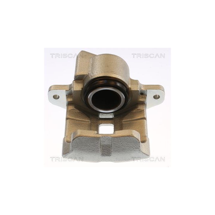 Stabdžių apkaba TRISCAN 8175 25101