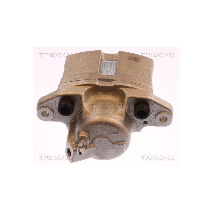 Stabdžių apkaba TRISCAN 8175 25101