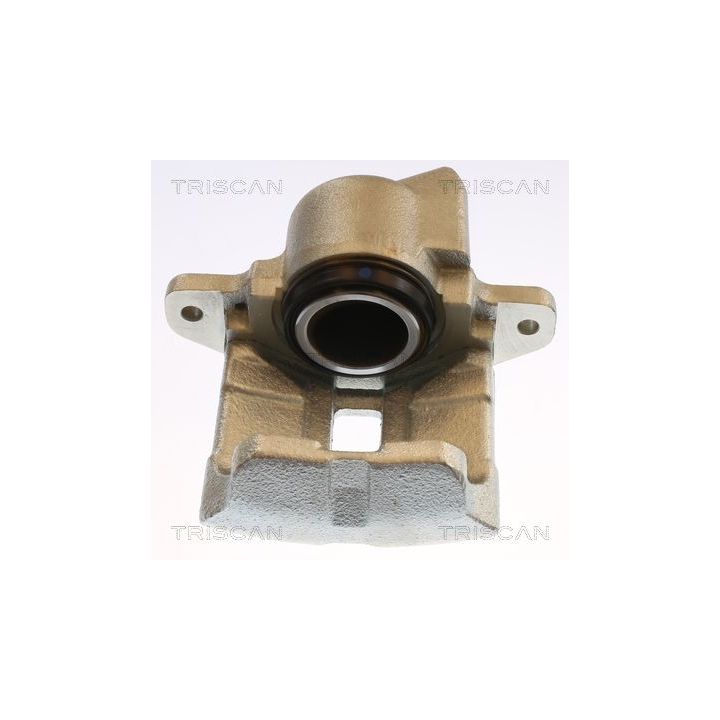 Stabdžių apkaba TRISCAN 8175 25102