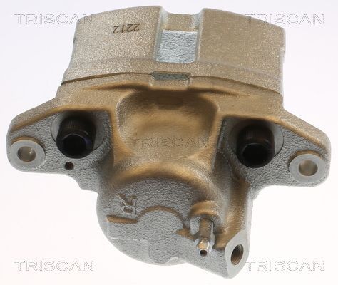 Stabdžių apkaba TRISCAN 8175 25102