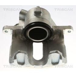 Stabdžių apkaba TRISCAN 8175 25109