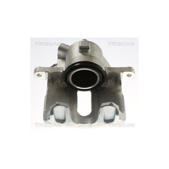 Stabdžių apkaba TRISCAN 8175 25109