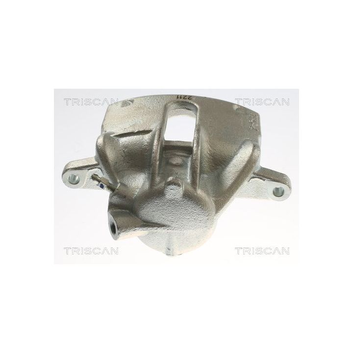 Stabdžių apkaba TRISCAN 8175 25109