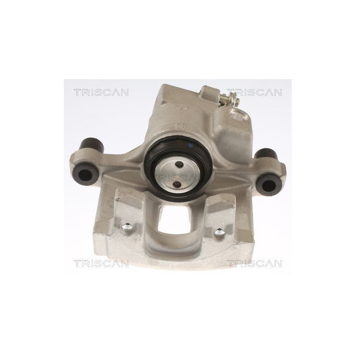 Stabdžių apkaba TRISCAN 8175 25201