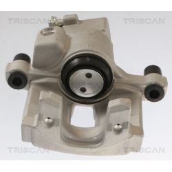 Stabdžių apkaba TRISCAN 8175 25202