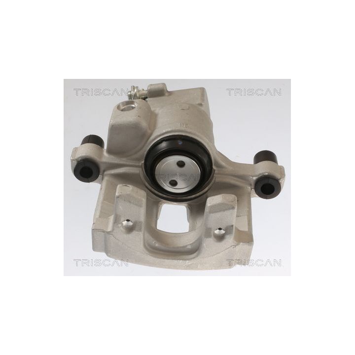 Stabdžių apkaba TRISCAN 8175 25202