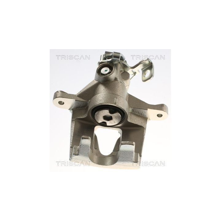 Stabdžių apkaba TRISCAN 8175 25213